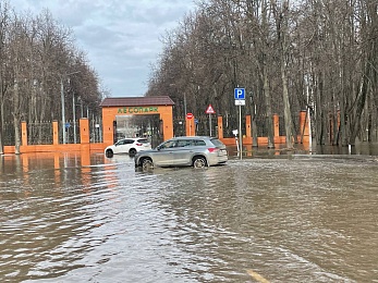 Фоторепортаж: рязанцы покоряют затопленный Лесопарк на лодках и сап-бордах - 62ИНФО Фоторепортаж: рязанцы покоряют затопленный Лесопарк на лодках и сап-бордах