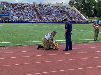 В Рязани День ВДВ отметили показательными выступлениями десантников и прыжками с парашютом