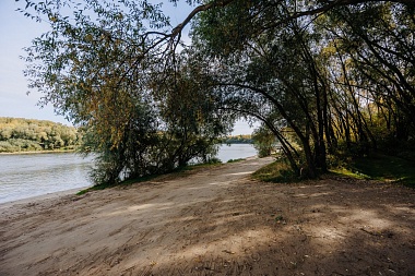 Рязанский губернатор Павел Малков рассказал об акции «Вода России» в Рязани - 62ИНФО Рязанский губернатор Павел Малков рассказал об акции «Вода России» в Рязани