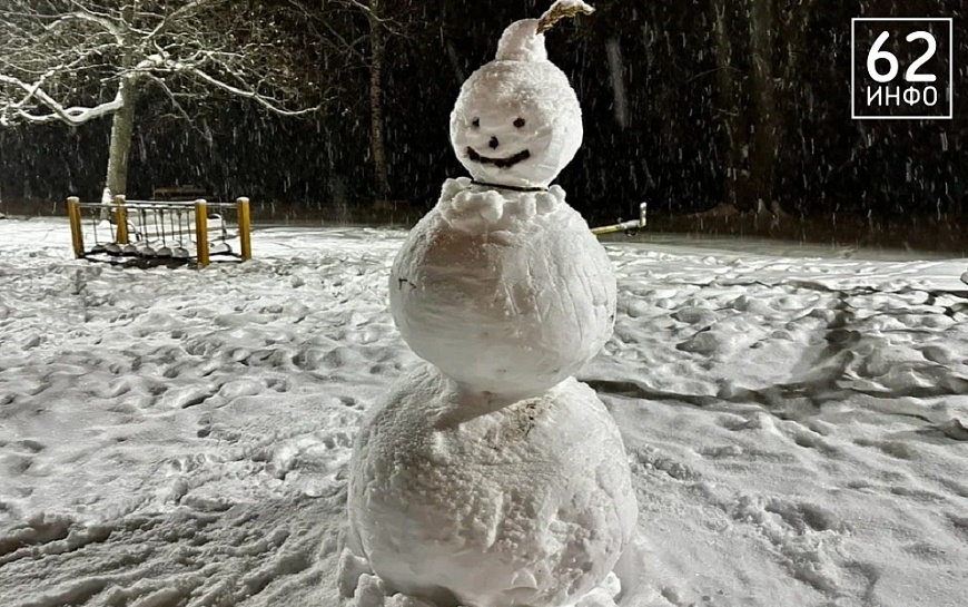 "До новых снегопадов 2 дня": Павел Малков поручил усилить уборку снега в Рязани