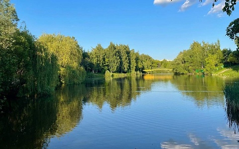 Рязанцев ждёт постепенное потепление