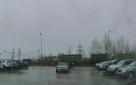 В Рязани неизвестный выкинул щенка рядом с дорогой