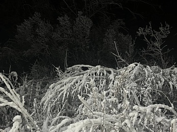 Снежное полнолуние марта сфотографировали в рязанской глубинке - 62ИНФО Снежное полнолуние марта сфотографировали в рязанской глубинке