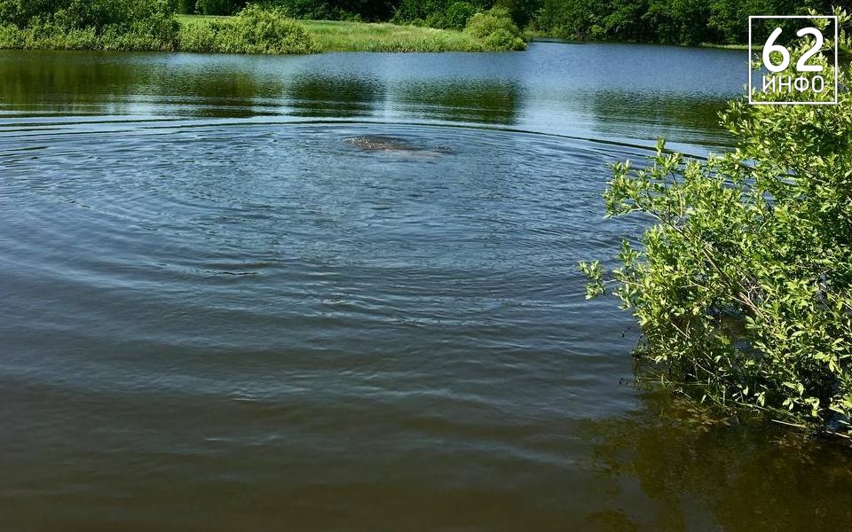 В Рязани два дня ищут пропавшую у водоёма 15-летней девочку - 62ИНФО