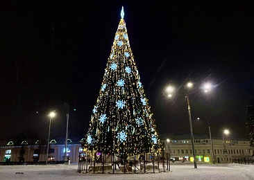 В Рязани зажгли огни на главной елке на площади Ленина