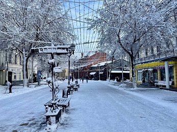 Снег и гирлянды превратили Рязань в новогоднюю открытку