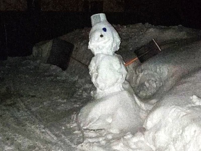 Рязанский метеоролог показал символ уходящей зимы