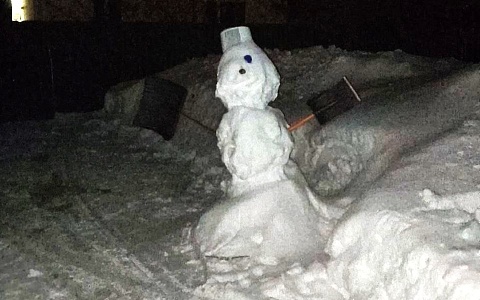 Рязанский метеоролог показал символ уходящей зимы