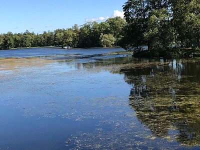 В Спасском районе закрыли движение по наплавному мосту через Оку