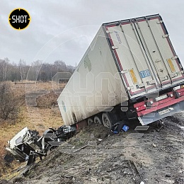 Депутат Рязанской области с сыном попала в массовую аварию в Кашире