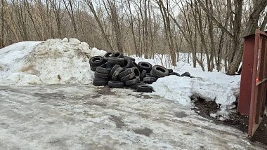 Рязанцы сообщили о свалке шин на 3-их Бутырках