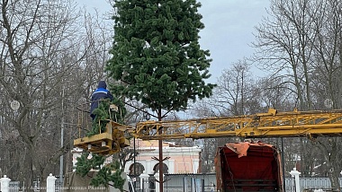 В Рязани монтируют 22-метровую ель на площади Ленина - 62ИНФО В Рязани монтируют 22-метровую ель на площади Ленина