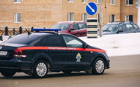 Бастрыкин поручил доложить о строительстве мусорного полигона в Шацком районе