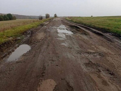 Дирекция дорог Рязанской области получила повестку в суд из-за дороги с ямами