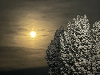 Снежное полнолуние марта сфотографировали в рязанской глубинке - 62ИНФО Снежное полнолуние марта сфотографировали в рязанской глубинке