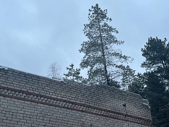 В рязанском лесу сфотографировали заброшки и лестницу в никуда - 62ИНФО В рязанском лесу сфотографировали заброшки и лестницу в никуда