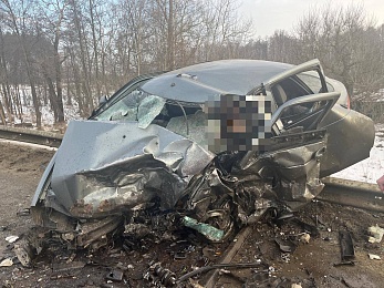 Появились подробности массового ДТП в Рязанской области