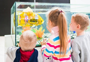 В Рязани откроют интерактивный музей «Фестиваль роботов»