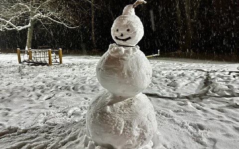 Поломка конвейера циклонов и "скандинавский блокинг" изменят погоду в Рязани
