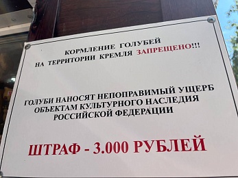 В Рязани объявили большие штрафы за кормление птиц - 62ИНФО В Рязани объявили большие штрафы за кормление птиц