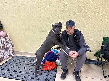 В Рязани проходит выставка собак «Содружество»