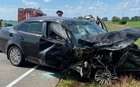 В Сасовском районе столкнулись две машины, погибли двое человек и пострадал 2-летний ребенок