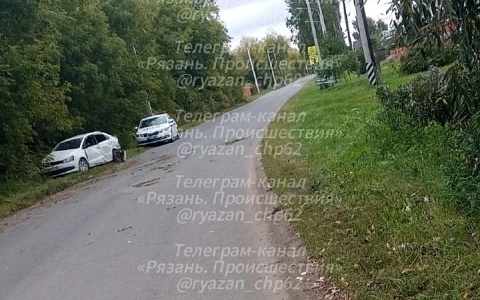 В Рязанской области авто вылетело в кювет и врезалось в столб