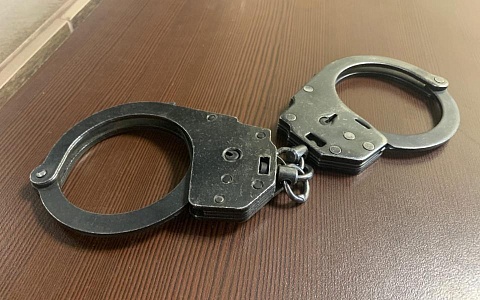 Пьяный тракторист выкрал 5 тонн зёрен кукурузы для кормления домашнего скота