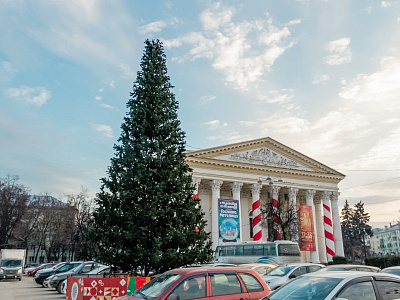 На Театральной площади в Рязани установили новогоднюю ель