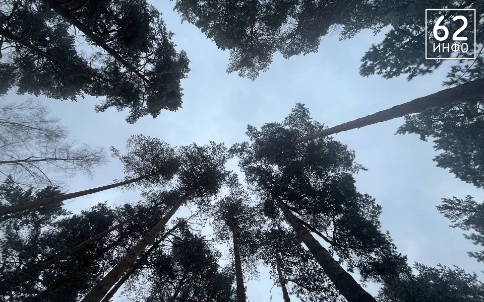 Северо-восток Рязанской области накроет сильным ветром - 62ИНФО