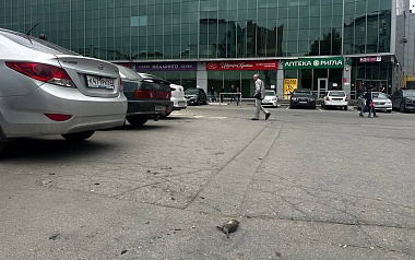 На парковке у ТРЦ «Виктория Плаза» в Рязани обнаружили мёртвую крысу