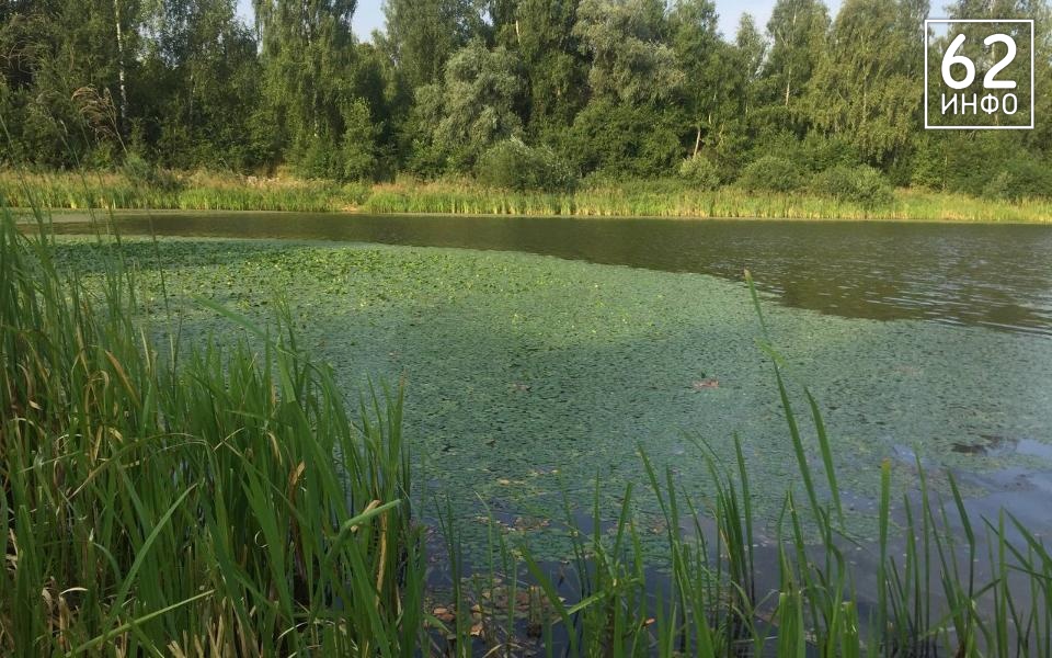 В рязанском Голенчинском пруду утонул 66-летний мужчина - 62ИНФО