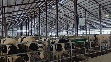 В Касимовском районе завершился первый этап строительства фермы на 2000 коров 