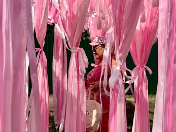 В селе Новосёлки Рыбновского района начался фестиваль «Малина»