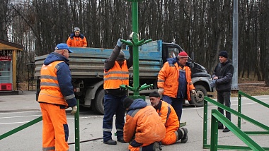 В Рязани начали украшать новогодние ели - 62ИНФО В Рязани начали украшать новогодние ели