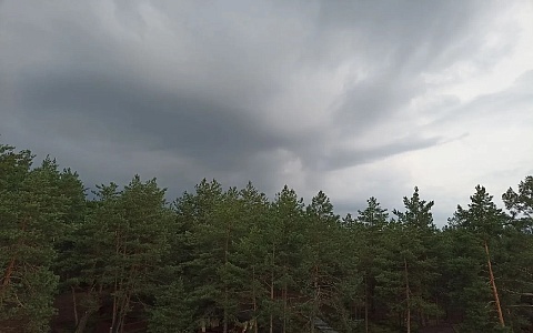 МЧС предупреждает о приближении грозы