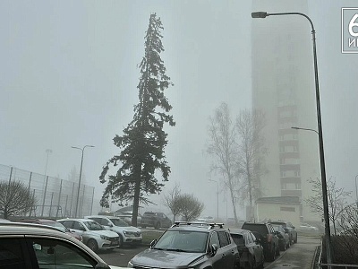 На Рязанскую область пал туман
