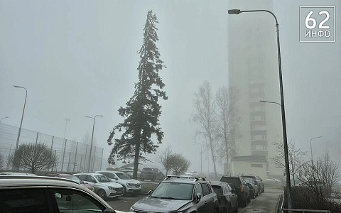 На Рязанскую область пал туман