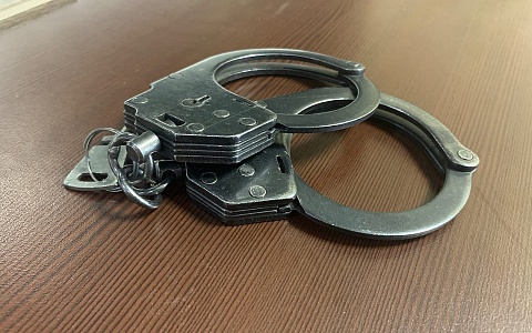 Житель Рязанского района предстанет перед судом за незаконный оборот наркотиков