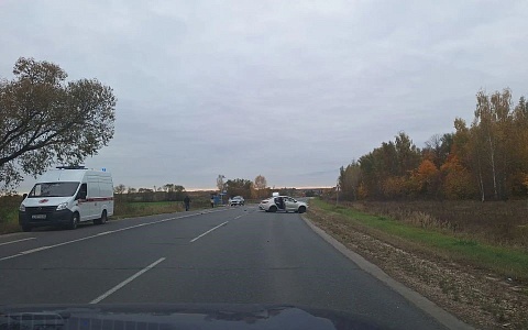 В Старожиловском районе авто пробило металлическое ограждение и вылетело в кювет