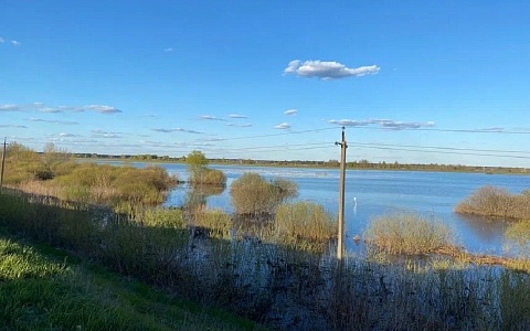 Южный ветер 17 апреля принесет в Рязанскую область тепло