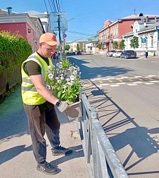 Из-за жары в Рязани начали поливать высаженные растения