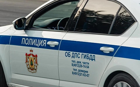 Госавтоинспекция провела занятие для рязанских школьников по ПДД 