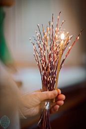 Вербное воскресенье 2025: фоторепортаж из Вознесенского храма