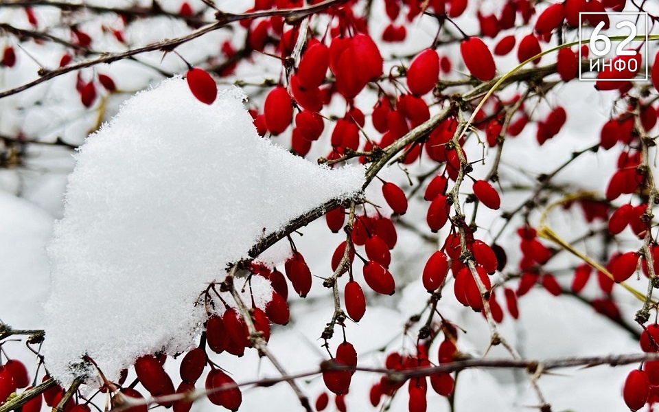 В Рязани за полдня выпало больше 20% месячной нормы снега - 62ИНФО