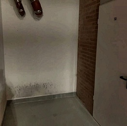 В Рязани новый ЖК «Голландия» зарос чёрной плесенью после сдачи жильцам - 62ИНФО В Рязани новый ЖК «Голландия» зарос чёрной плесенью после сдачи жильцам