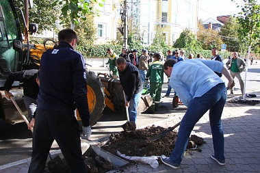 В Рязани 30 улиц попали в первый этап масштабного озеленения