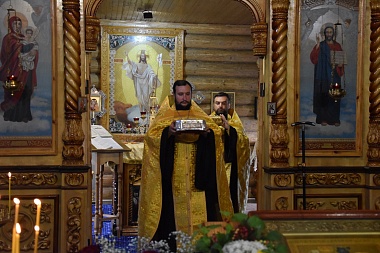 В Рязанскую область доставили мощи блаженной Матроны Московской и Николая Чудотворца