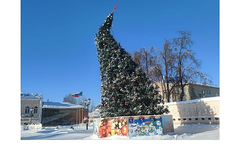 В касимовских соцсетях показали «усталую» ель