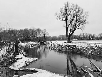 В Рязани на месте крушения Ил-76 установили памятную табличку лётчикам